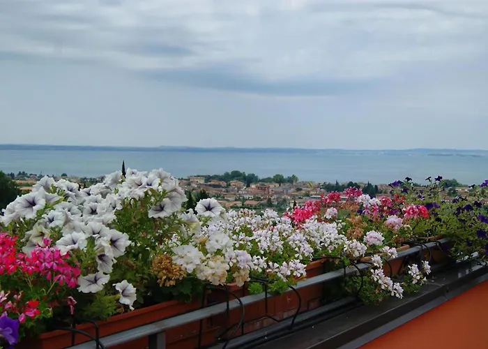 Couette-café Corte Frisonai