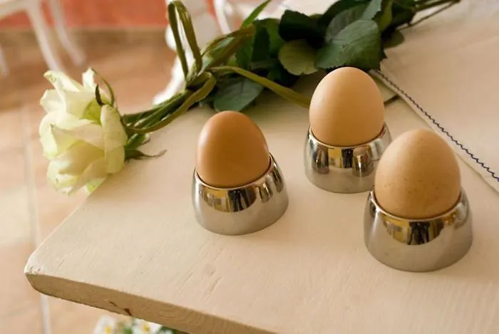 Couette-café Corte Frisonai